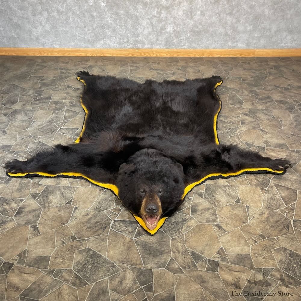 Black Bear Full-Size Rug For Sale #27856 @ The Taxidermy Store
