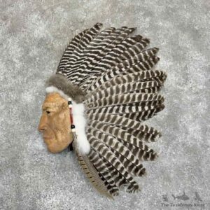 War Bird Turkey Wing Display For Sale #31375 @ The Taxidermy Store