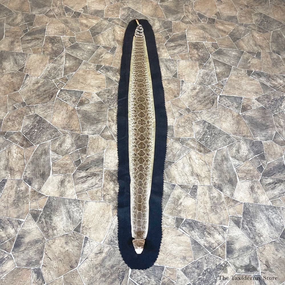 Western Diamondback Rattlesnake Rug For Sale #24321 @ The Taxidermy Store
