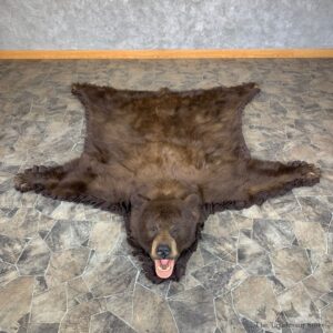 Cinnamon Phase Black Bear Full-Size Rug For Sale #23328 @ The Taxidermy Store