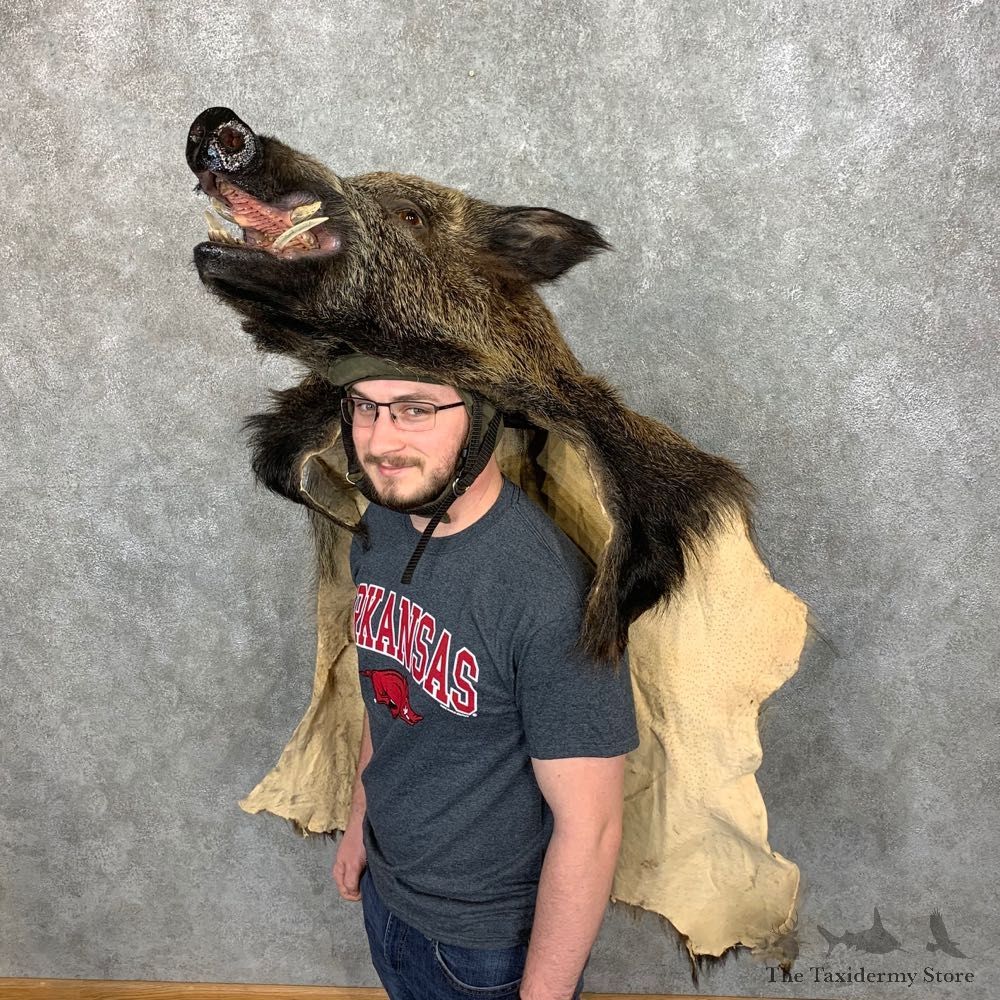Razorback Superfan Rally Hat For Sale #22310 @ The Taxidermy Store