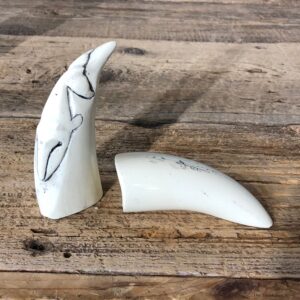 Whale Tooth Replica Mount For Sale #19396 @ The Taxidermy Store