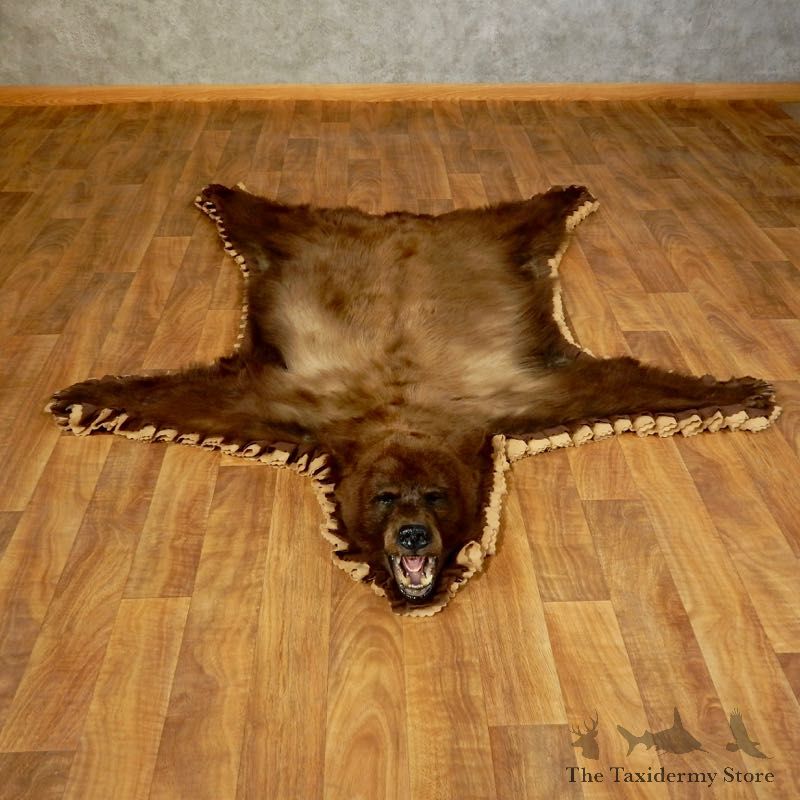 Black Bear Full-Size Rug For Sale #17255 @ The Taxidermy Store