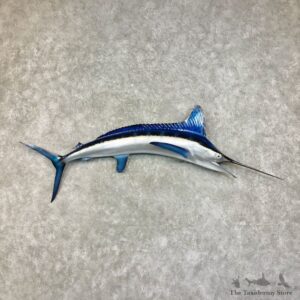 Blue Marlin Fish Mount For Sale #25871 @ The Taxidermy Store