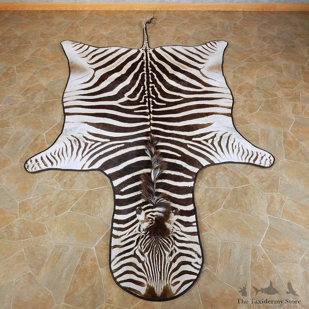 African Zebra Full-Size Rug For Sale #15705 @ The Taxidermy Store