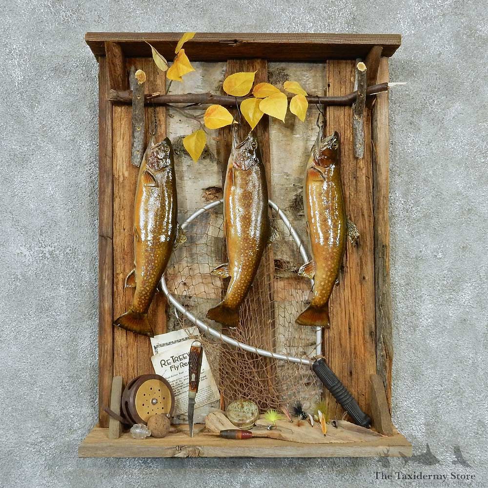 Captain's Classic Brook Trout Display Taxidermy Mount #13298 For Sale @ The Taxidermy Store