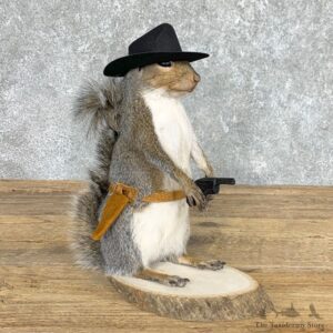 Cowboy Squirrel Novelty Mount For Sale #22437 @ The Taxidermy Store
