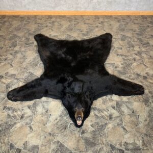 Black Bear Full-Size Rug For Sale #22534 @ The Taxidermy Store