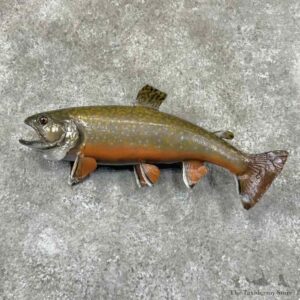 Brook Trout Fish Mount For Sale #30897 @ The Taxidermy Store