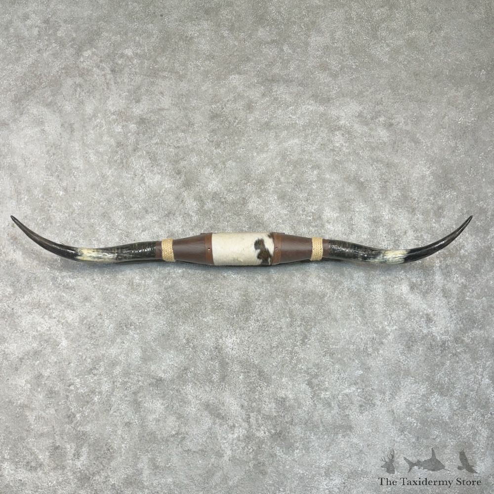 Longhorn Steer Plaque For Sale #29756 @ The Taxidermy Store