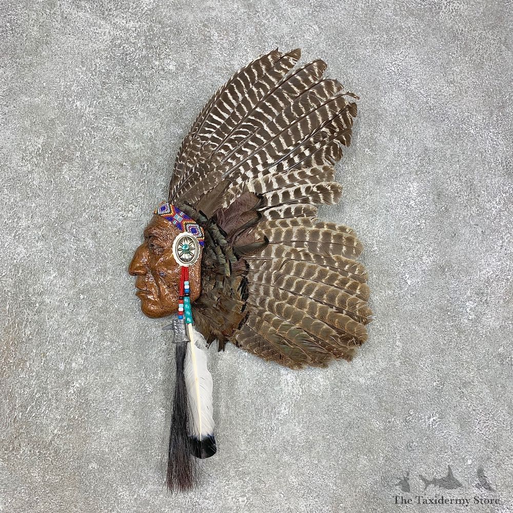 War Bird Turkey Fan Display For Sale #21537 @ The Taxidermy Store