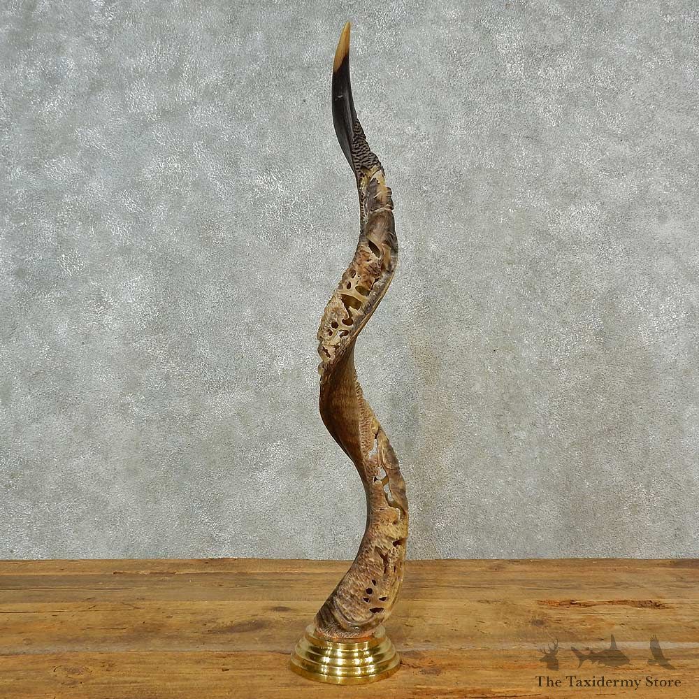 Carved Kudu Horn Mount For Sale #16551 @ The Taxidermy Store