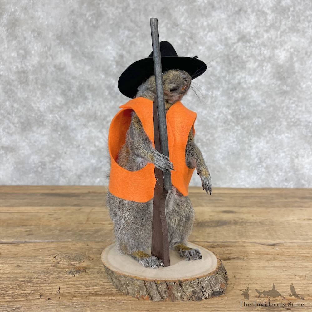 Hunting Cowboy Squirrel Novelty Mount For Sale #28613 @ The Taxidermy Store