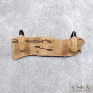 Whitetail Deer Hoof Gun Rack Taxidermy Mount For Sale #18745 @ The Taxidermy Store