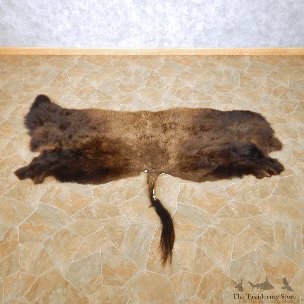 American Buffalo Rug For Sale #14731 @ The Taxidermy Store