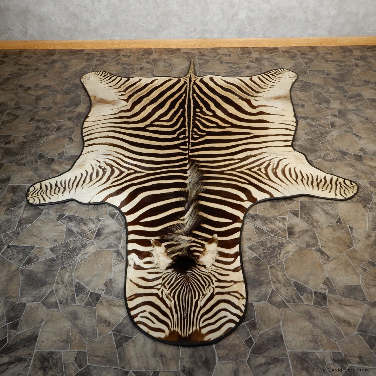 African Zebra Rug Taxidermy Mount For Sale #19313 @ The Taxidermy Store