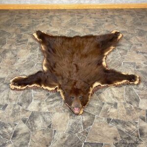 Chocolate Black Bear Full-Size Rug For Sale #24686 @ The Taxidermy Store