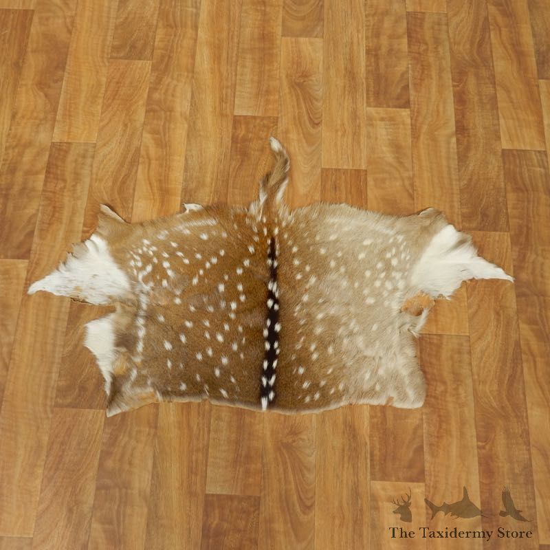 Axis Deer Taxidermy Skin Rug For Sale #17455 @ The Taxidermy Store