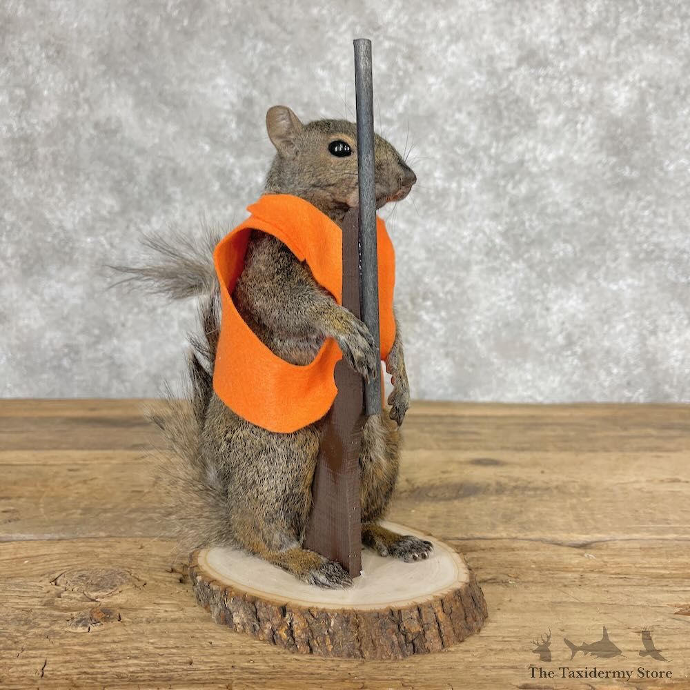 Hunting Squirrel Novelty Mount For Sale #28614 @ The Taxidermy Store