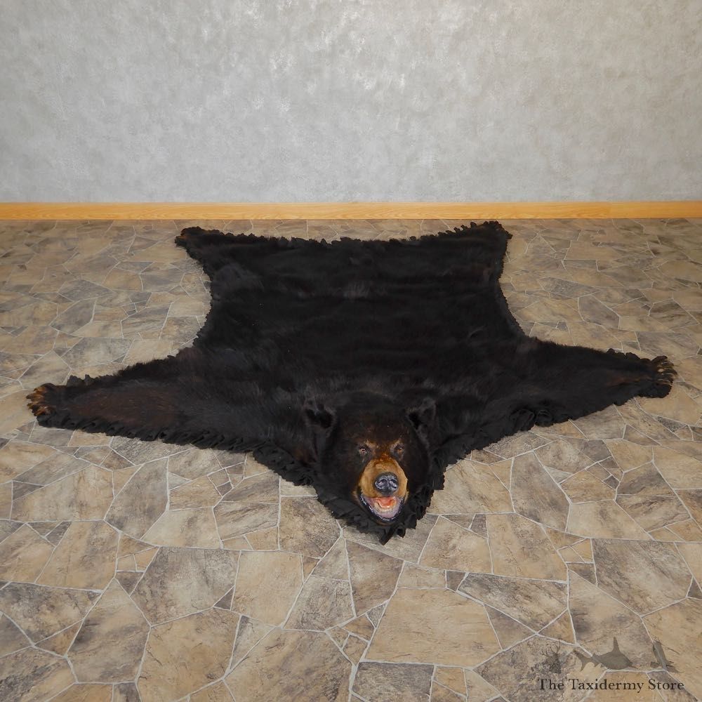 Black Bear Full-Size Rug For Sale #18973 @ The Taxidermy Store