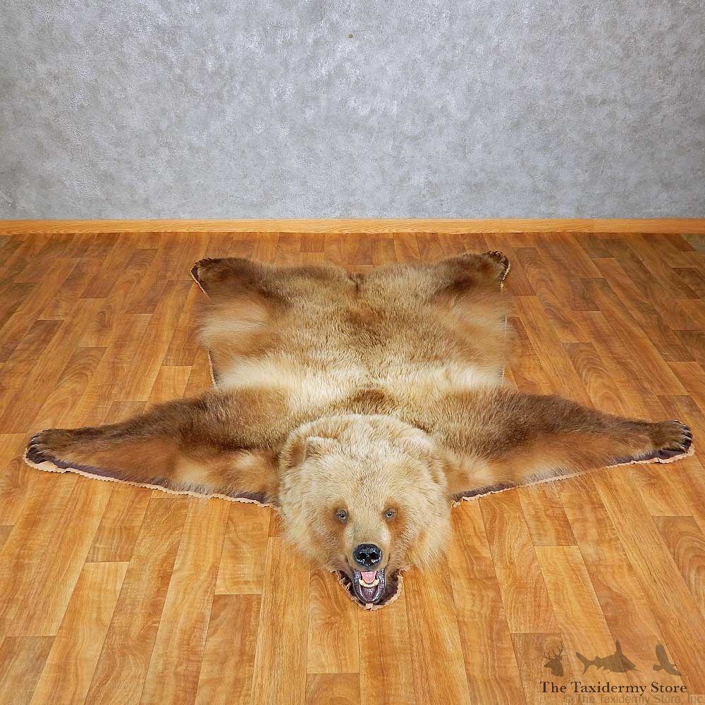 Grizzly Bear Rug Mount For Sale #15264 @ The Taxidermy Store