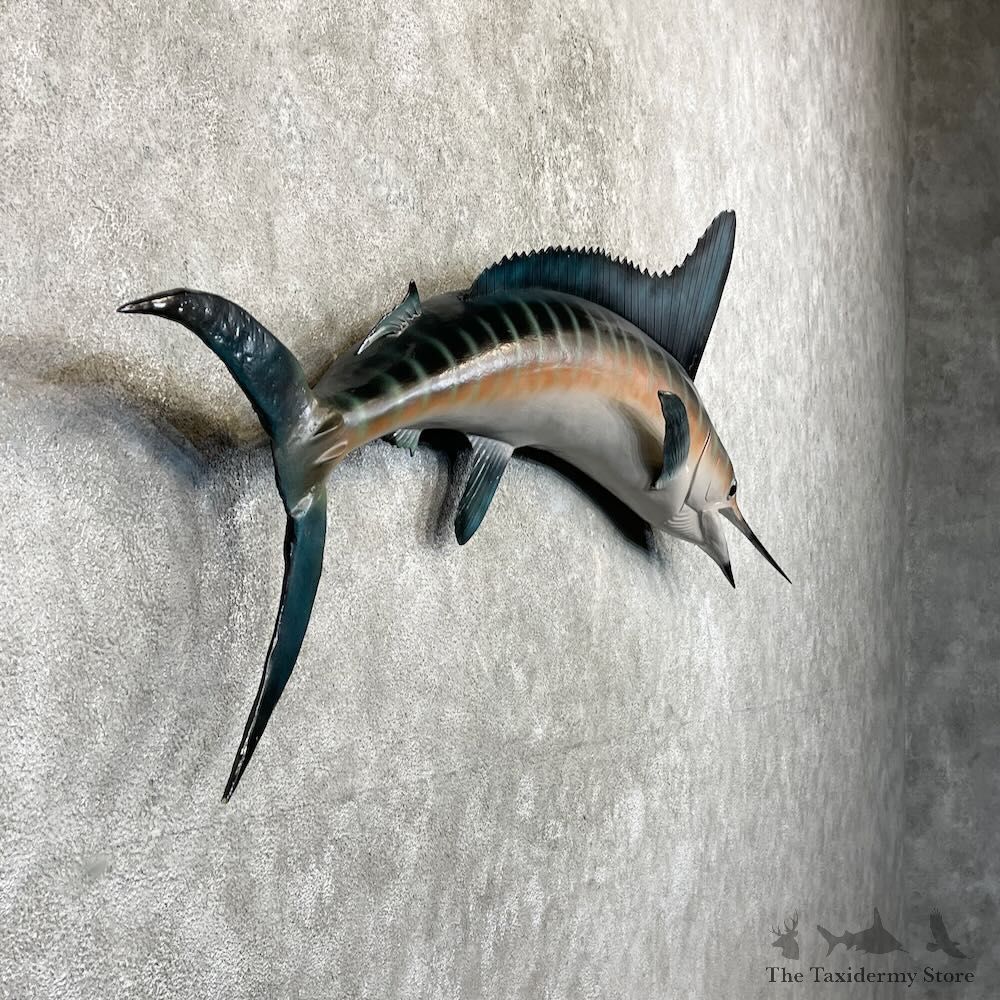 Blue Marlin Fish Mount For Sale #27509 @ The Taxidermy Store