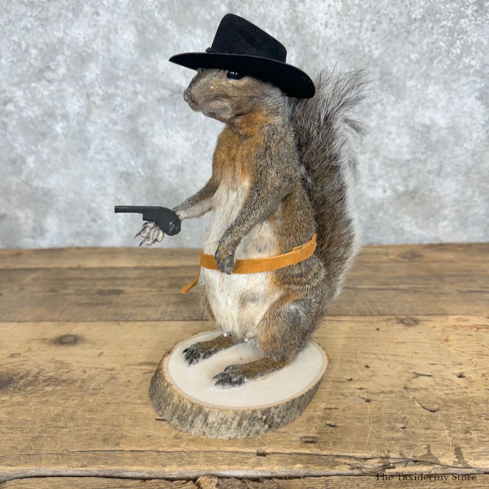 Cowboy Squirrel Novelty Mount For Sale #29479 @ The Taxidermy Store