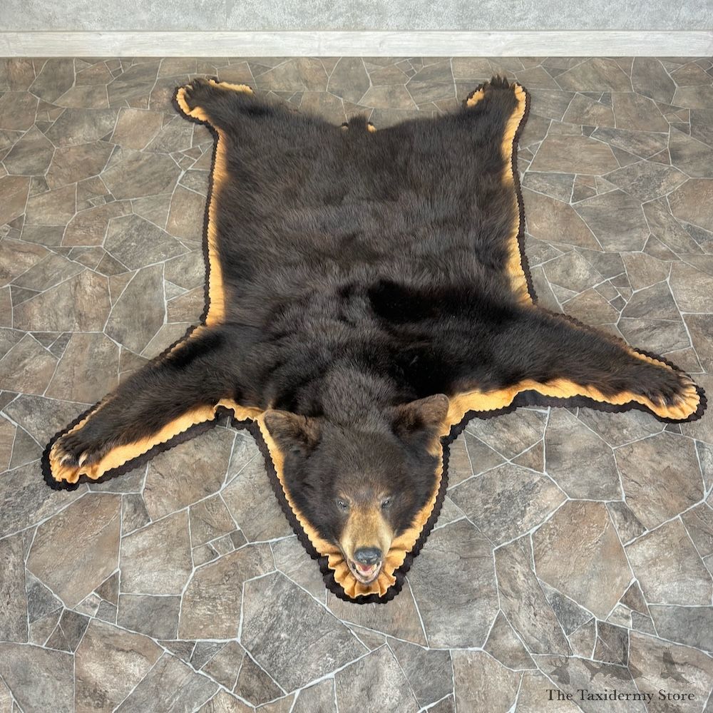 Black Bear Full-Size Rug For Sale #29765 @ The Taxidermy Store