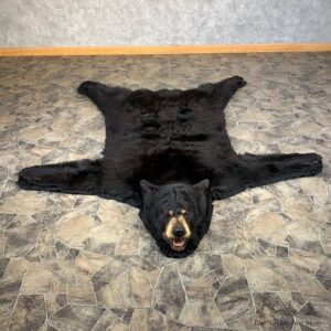 Black Bear Full-Size Rug For Sale #22114 @ The Taxidermy Store