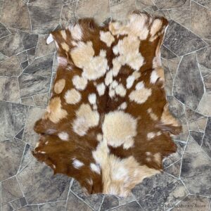 Goat Hide Taxidermy Tanned Skin For Sale #22752 @ The Taxidermy Store