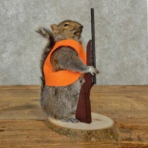 Hunting Squirrel Novelty Mount For Sale #16798 @ The Taxidermy Store