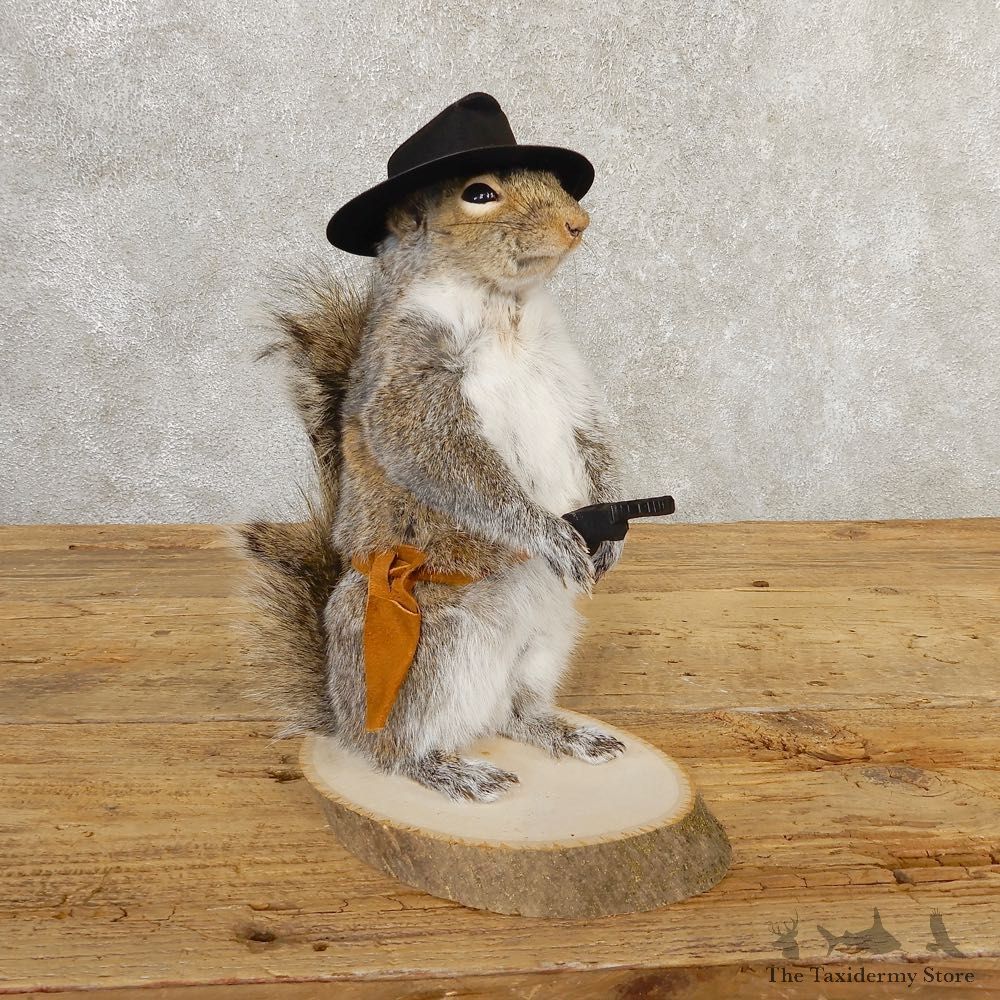 Cowboy Squirrel Novelty Mount For Sale #20730 @ The Taxidermy Store