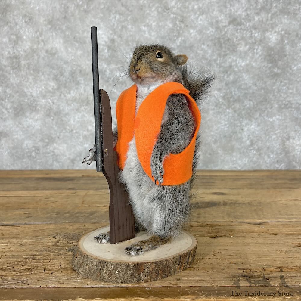 Hunting Squirrel Novelty Mount For Sale #28609 @ The Taxidermy Store