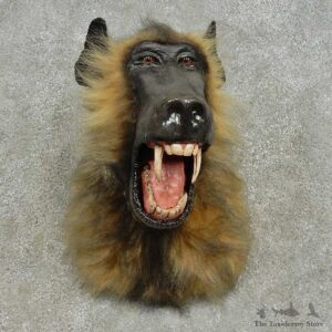 Reproduction Chacma Baboon Shoulder Mount For Sale #16609 @ The Taxidermy Store
