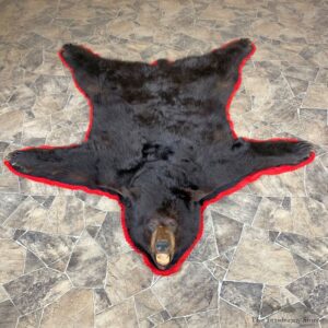 Black Bear Full-Size Rug For Sale #23320 @ The Taxidermy Store