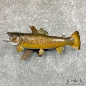 Brown Trout Fish Mount For Sale #24528 @ The Taxidermy Store