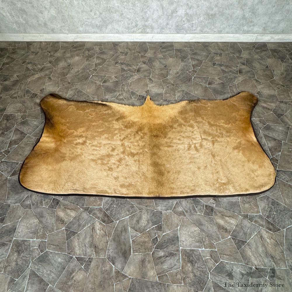 Elk Half Hide Throw For Sale #29776 @ The Taxidermy Store