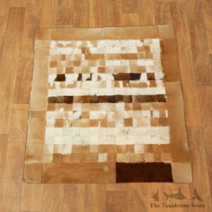 Springbok Taxidermy Rug For Sale #17427 For Sale @ The Taxidermy Store