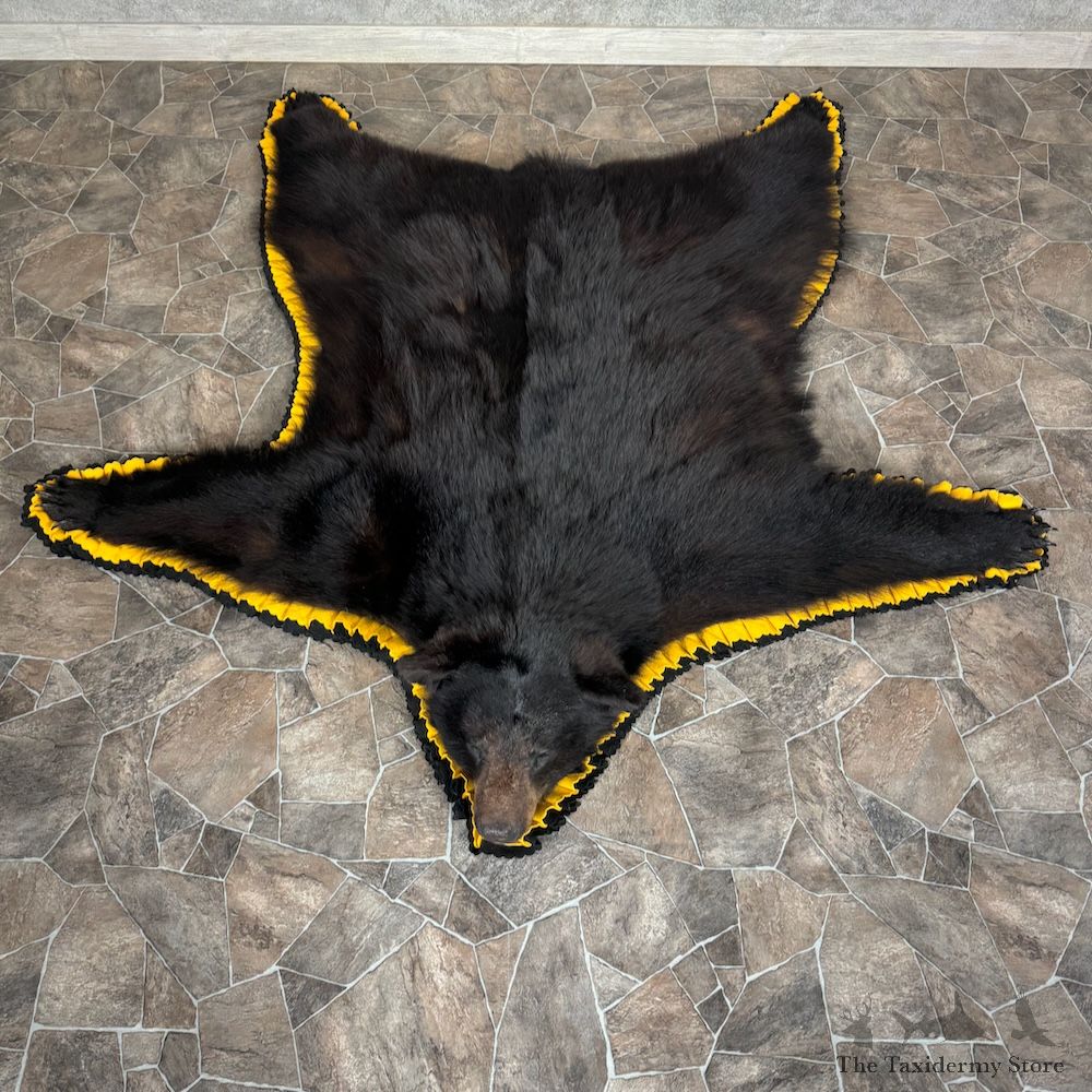 Black Bear Full-Size Rug For Sale #29312 @ The Taxidermy Store