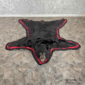 Black Bear Full-Size Rug For Sale #31033 @ The Taxidermy Store
