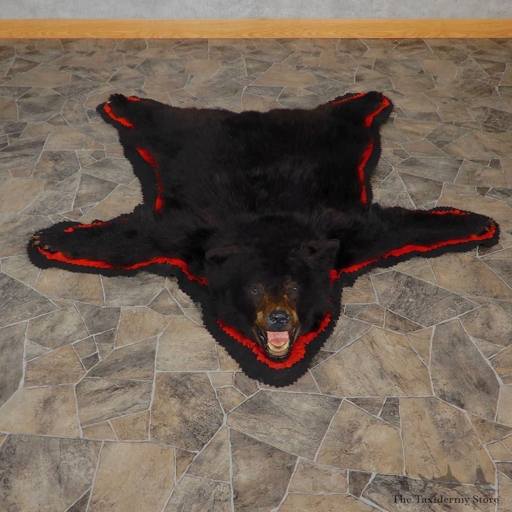 Black Bear Full-Size Rug For Sale #18972 @ The Taxidermy Store