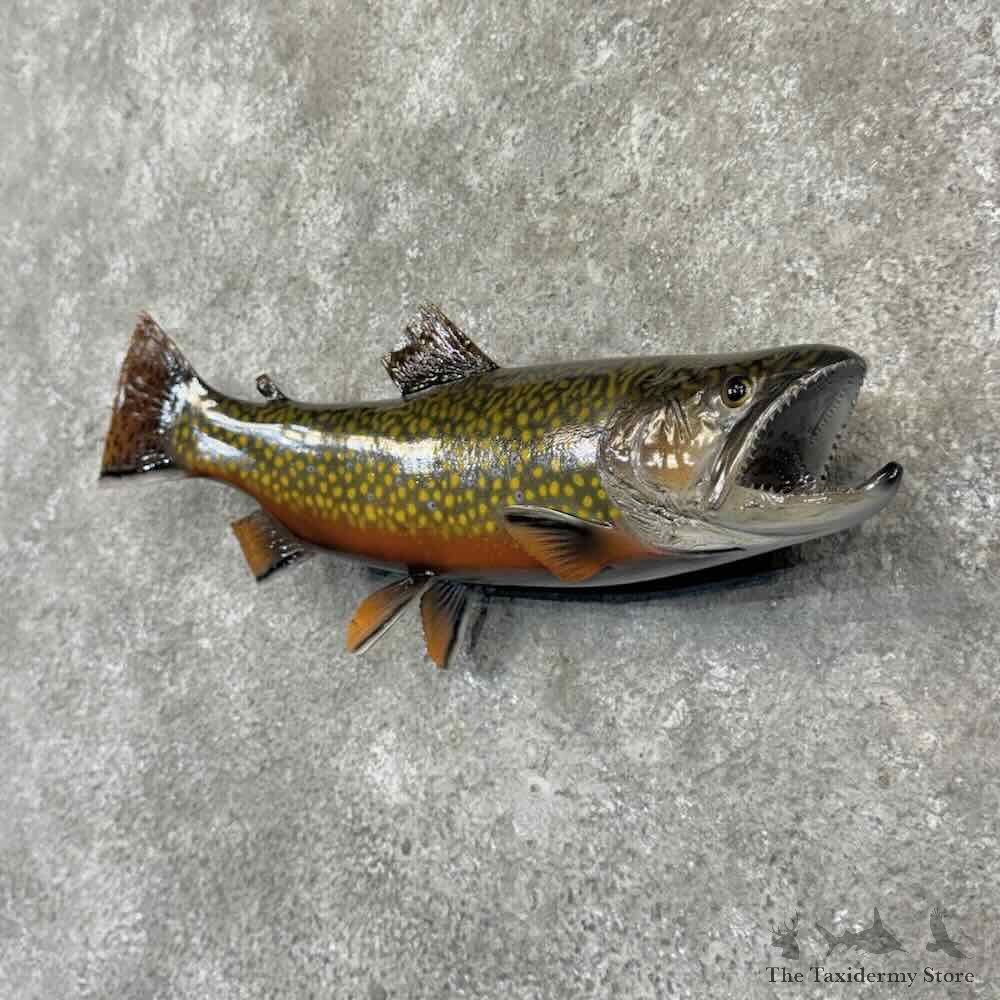 Brook Trout Fish Mount For Sale #32220 @ The Taxidermy Store