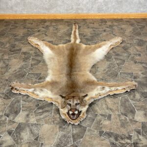 Mountain Lion Full-Size Rug For Sale #24610 @ The Taxidermy Store