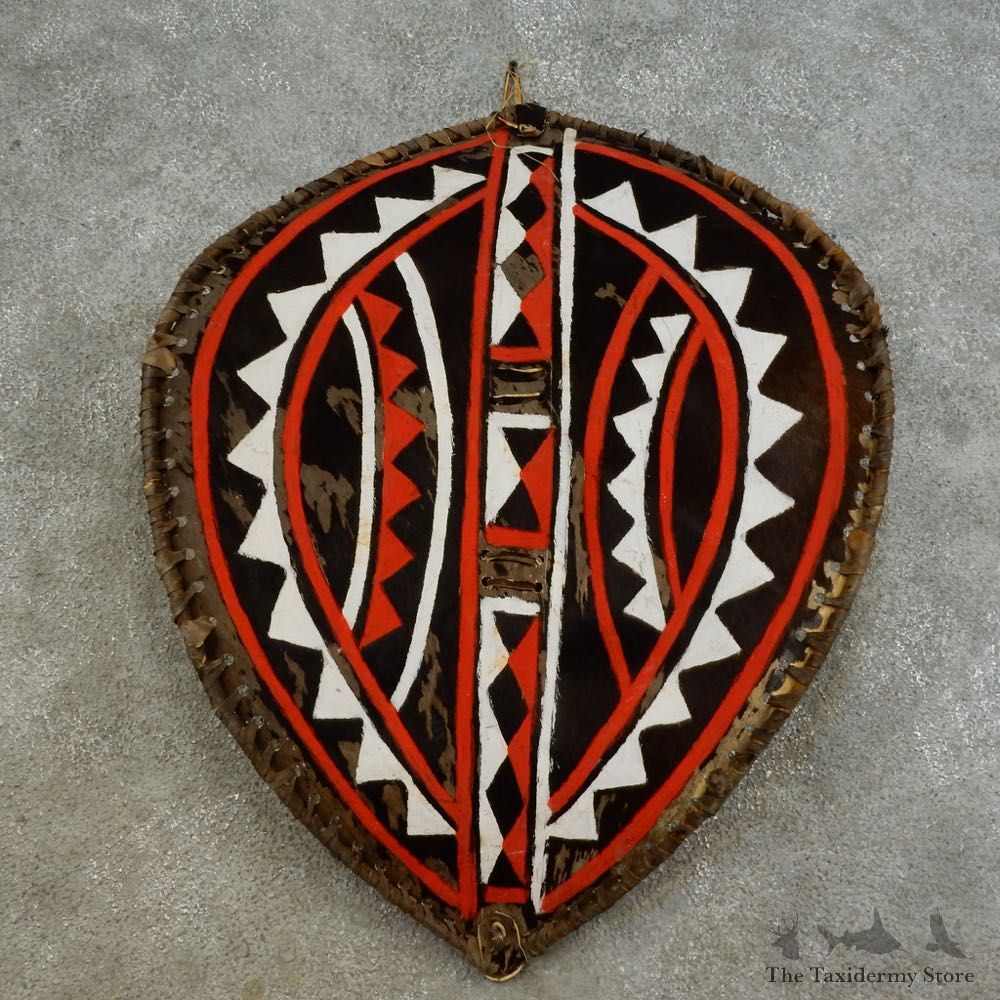 African Massai Warrior Shield Pair For Sale #16533 @ The Taxidermy Store