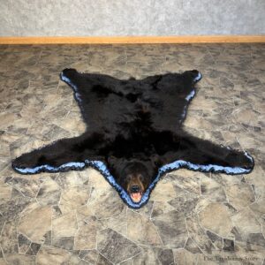 Black Bear Full-Size Rug For Sale #22109 @ The Taxidermy Store