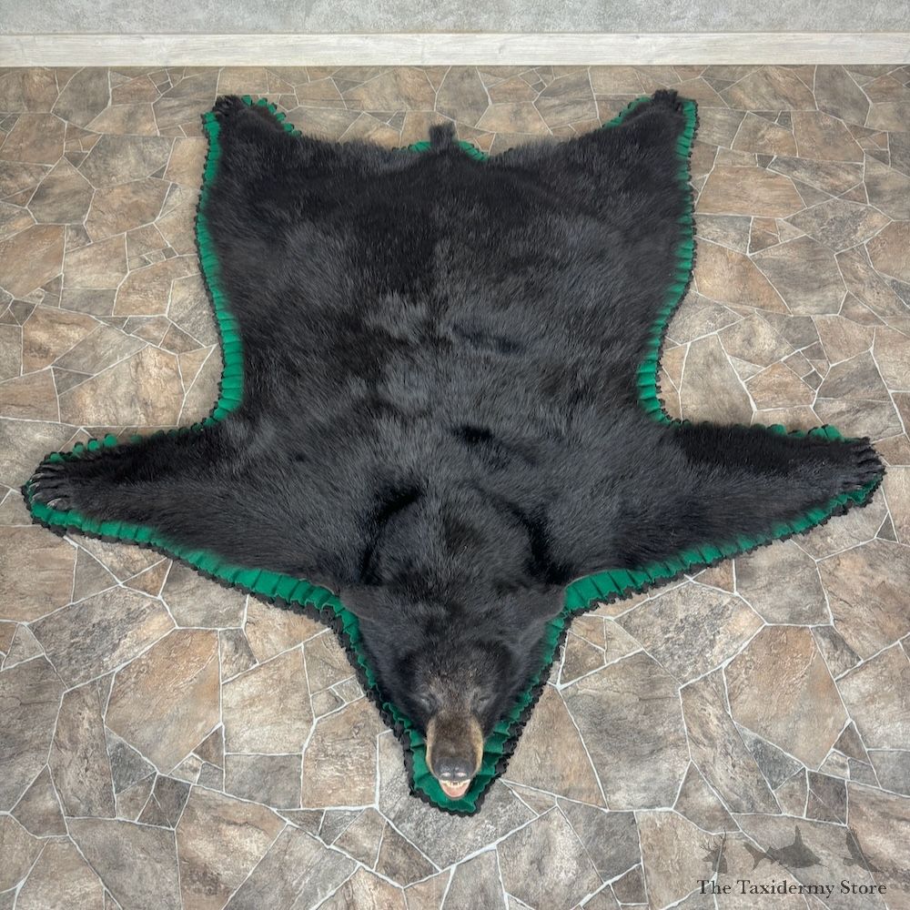 Black Bear Full-Size Rug For Sale #29306 @ The Taxidermy Store