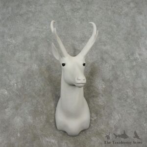 Pronghorn Antelope Reproduction Mount For Sale #17346@ The Taxidermy Store
