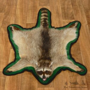 Raccoon Full-Size Rug Mount For Sale #17435 @ The Taxidermy Store