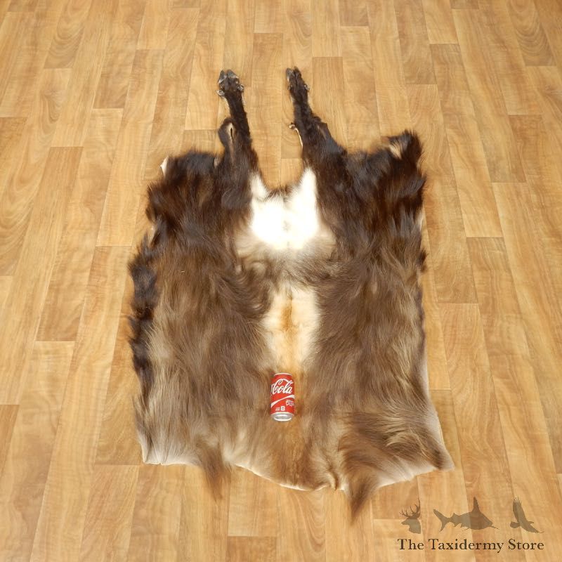 Himalayan Tahr Hide Taxidermy Rug Mount #17452 For Sale @ The Taxidermy Store