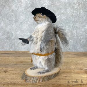 Cowboy Squirrel Novelty Mount For Sale #24976 @ The Taxidermy Store